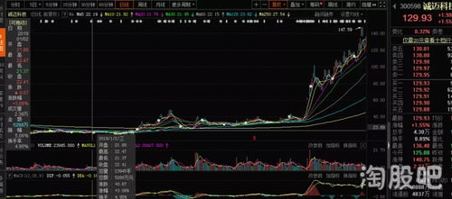 2019年你可能错过的十大牛股 软件外包服务领域的隐藏机会